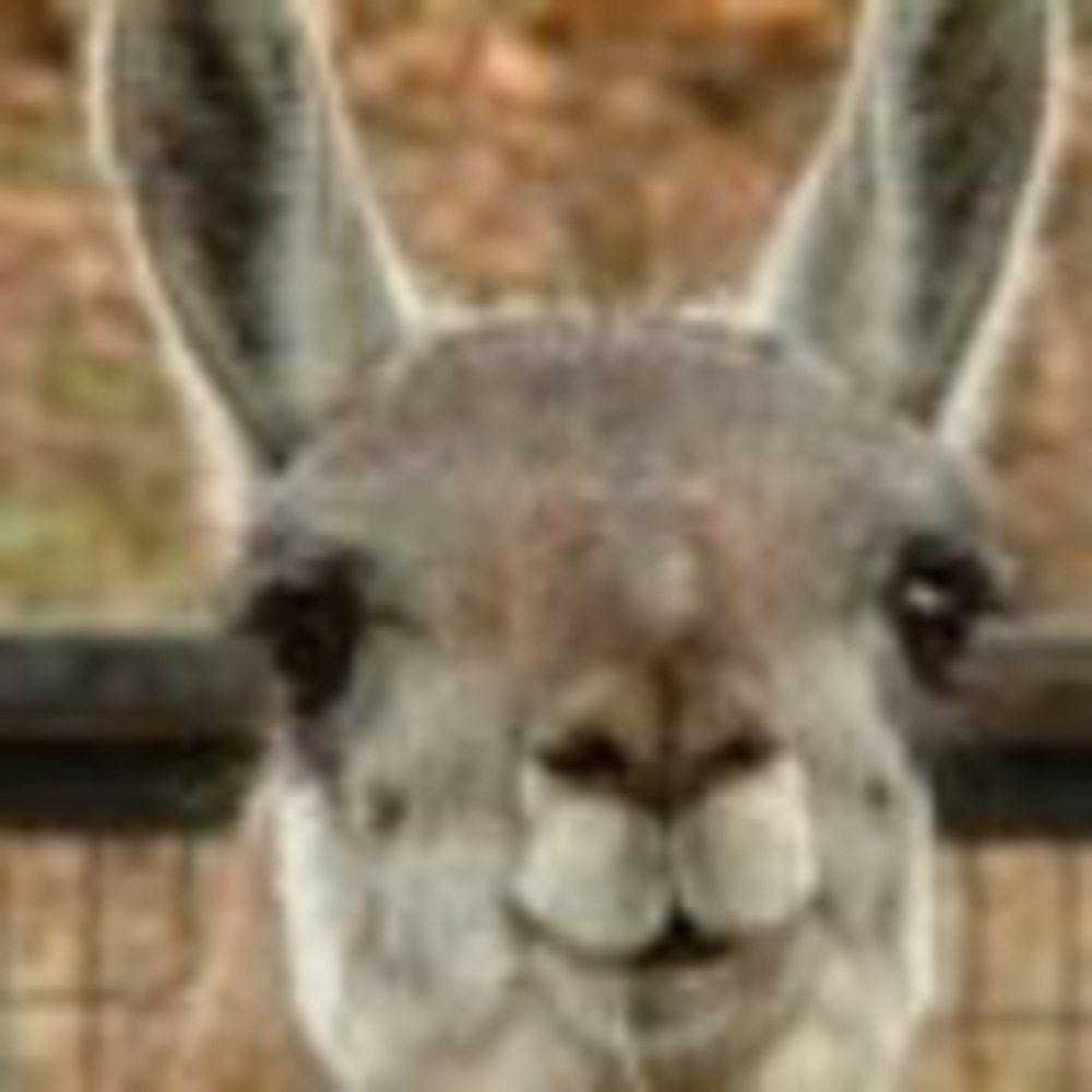 Meet your Posher, Moon